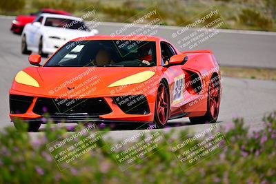 media/Mar-16-2024-Speed Ventures (Sat) [[b18ee68d62]]/Purple Group/Session 2 (The Bowl)/